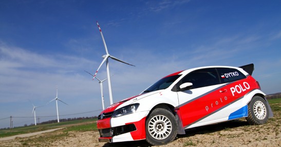 Testy Polo Proto